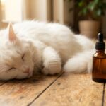 Holistapet CBD Oil for Cats