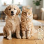 HOLISTAPET